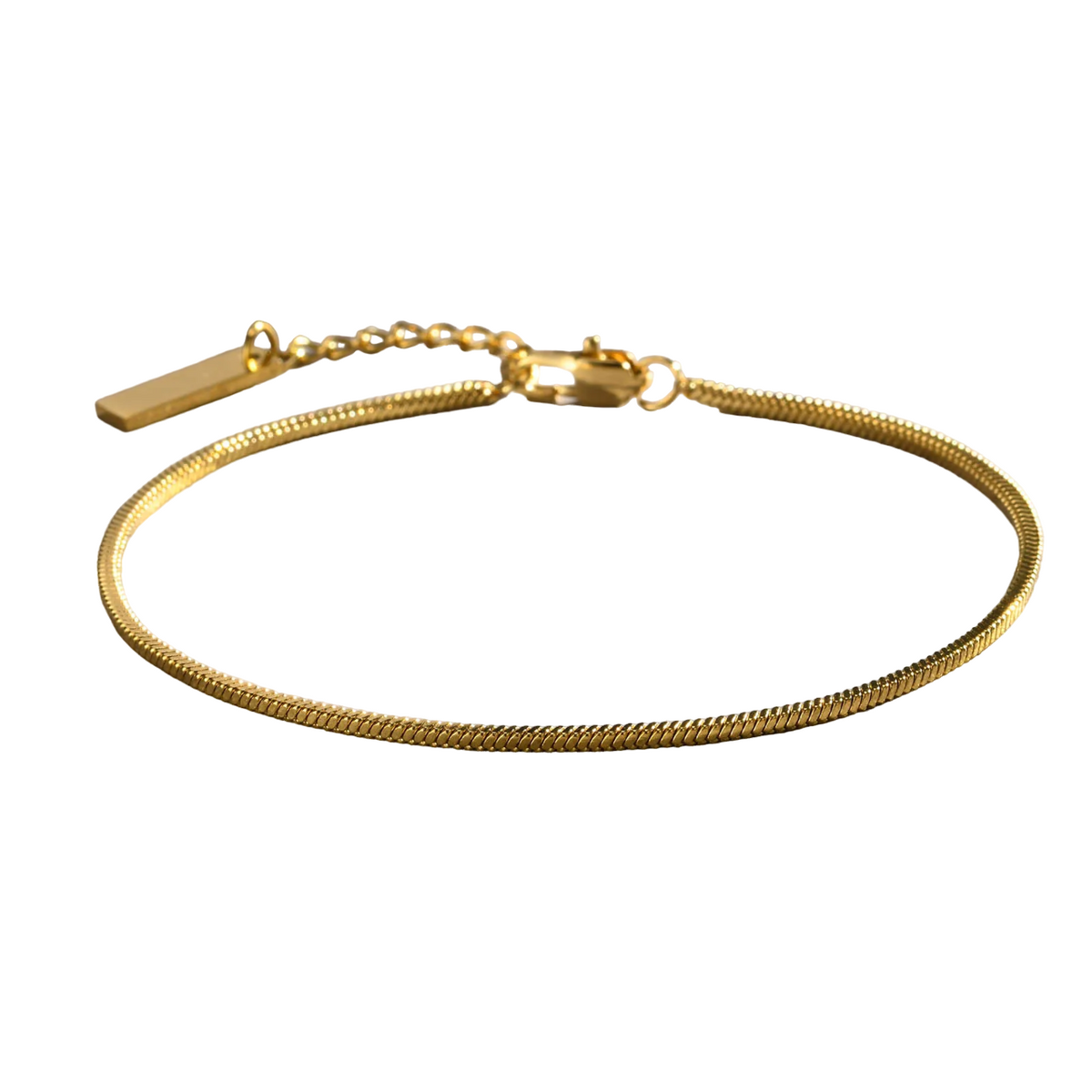 Pulseira Dumont de Aço Inoxidável - Vitrinni Shop